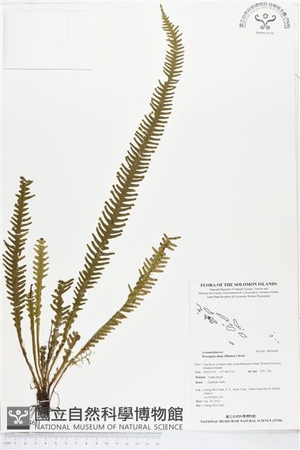 登錄號:BP00460藏品圖，第1張