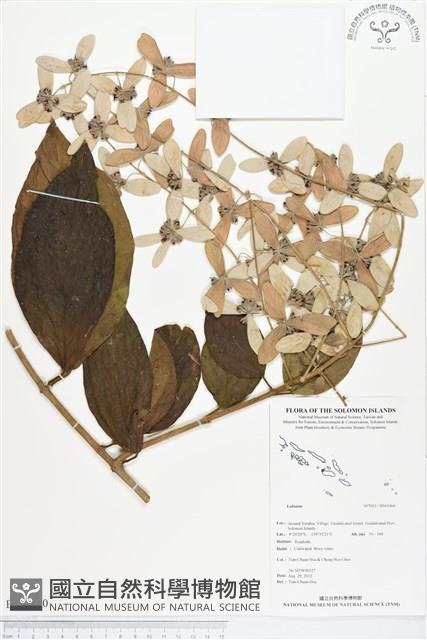 登錄號:BS01460藏品圖，第1張