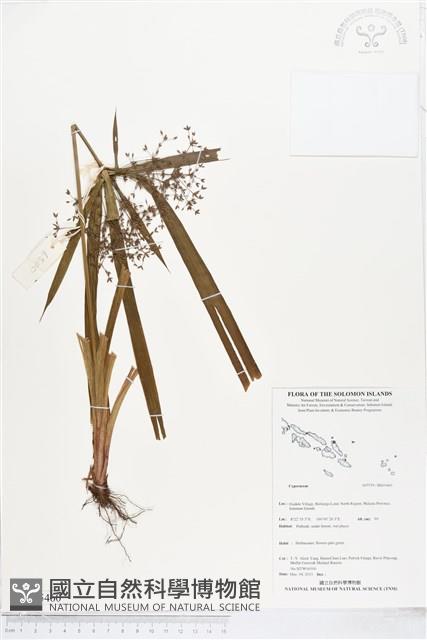 登錄號:BS05460藏品圖，第1張