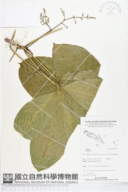 登錄號:BS04460藏品圖，第1張