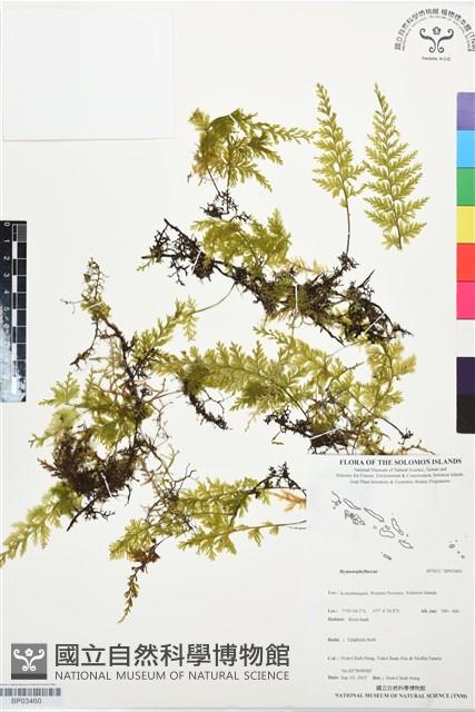 登錄號:BP03460藏品圖，第1張