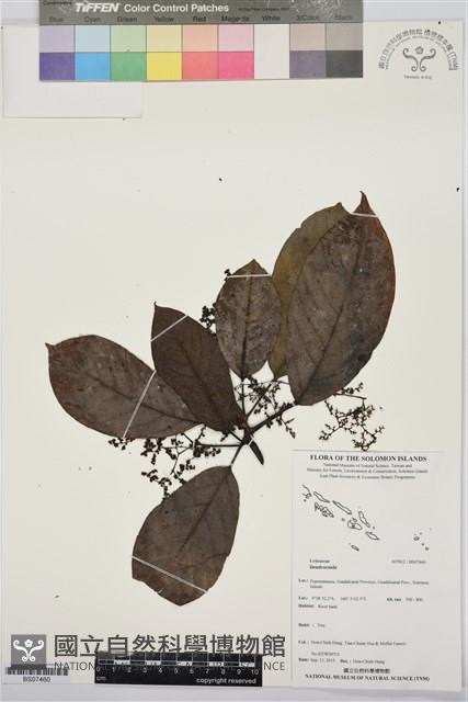 登錄號:BS07460藏品圖，第1張