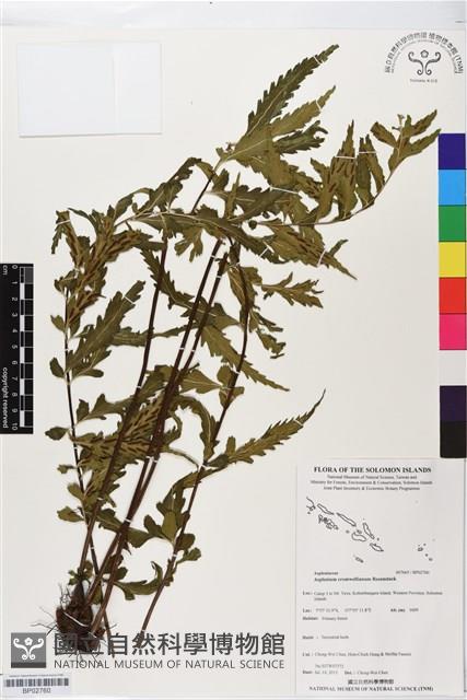 登錄號:BP02760藏品圖，第1張