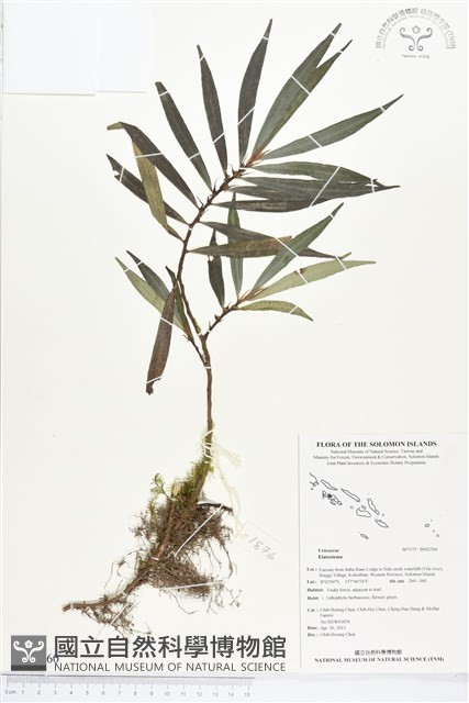 登錄號:BS02760藏品圖，第1張