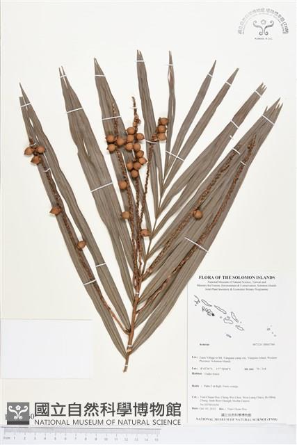 登錄號:BS03760藏品圖，第1張