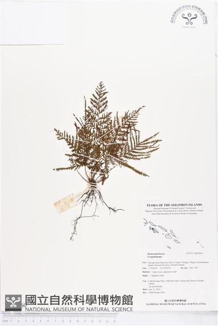 登錄號:BP00560藏品圖，第1張