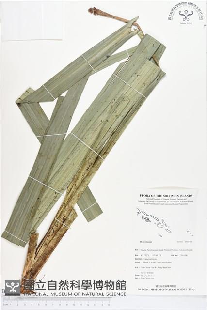 登錄號:BS01560藏品圖，第1張