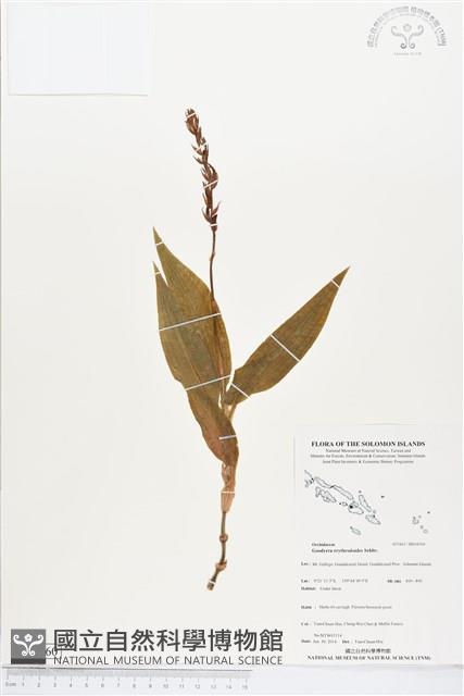 登錄號:BS04560藏品圖，第1張