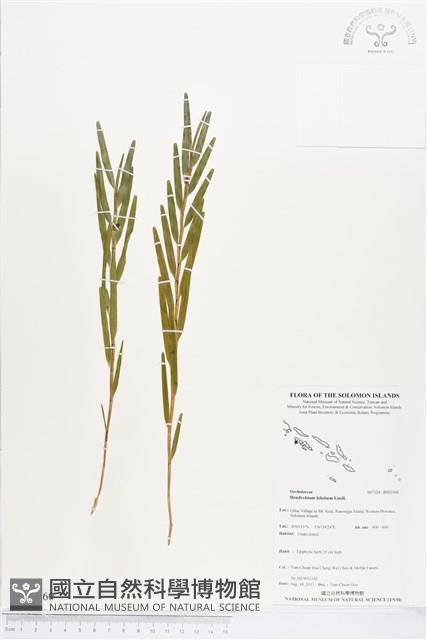 登錄號:BS03560藏品圖，第1張