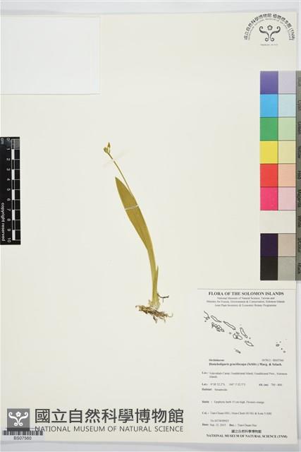 登錄號:BS07560藏品圖，第1張