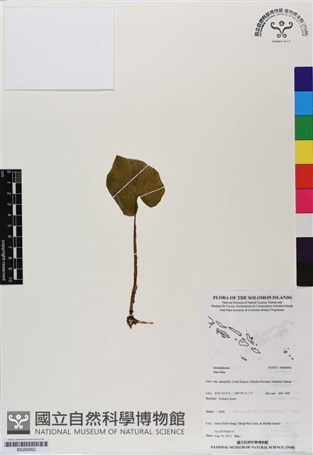 登錄號:BS06960藏品圖，第1張
