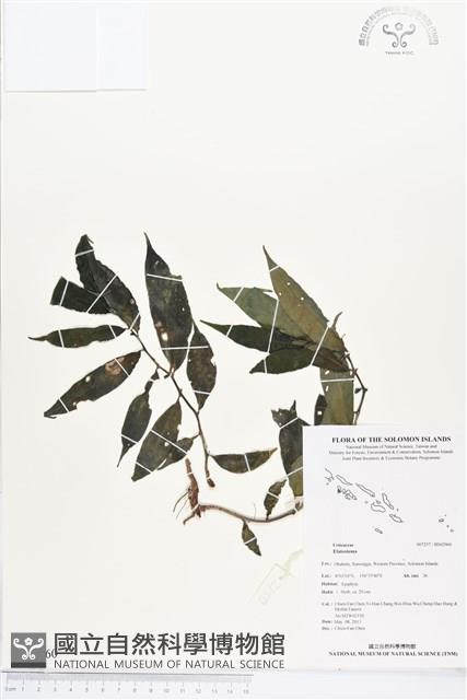 登錄號:BS02960藏品圖，第1張