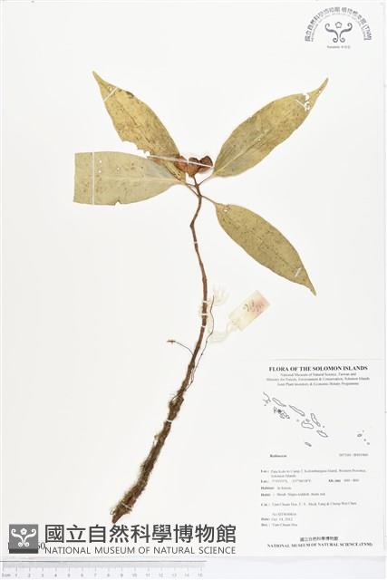 登錄號:BS01960藏品圖，第1張