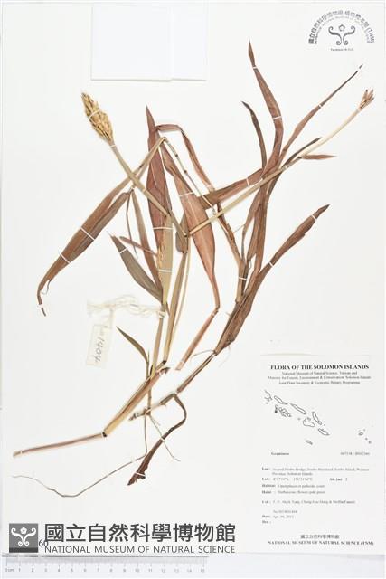 登錄號:BS02360藏品圖，第1張