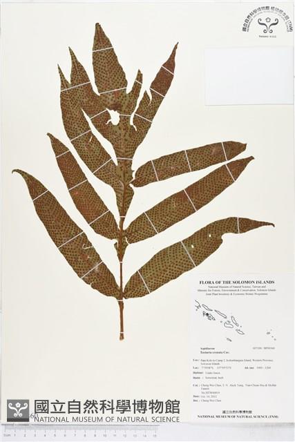 登錄號:BP00360藏品圖，第1張