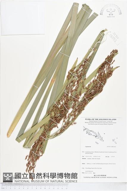 登錄號:BS05360藏品圖，第1張