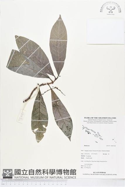 登錄號:BS03360藏品圖，第1張