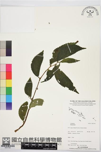 登錄號:BS07360藏品圖，第1張