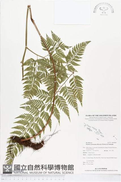 登錄號:BP00840藏品圖，第1張