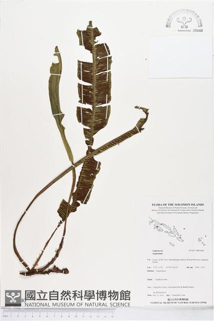登錄號:BP01840藏品圖，第1張