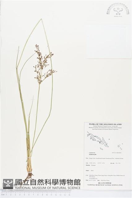 登錄號:BS04840藏品圖，第1張