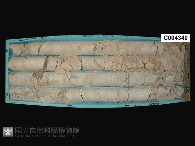 登錄號:C004340藏品圖，第3張