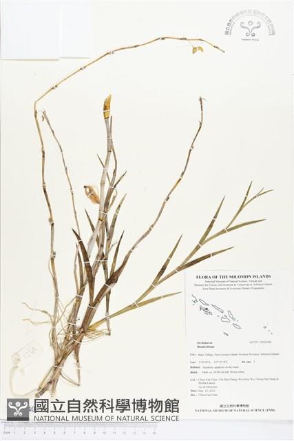 登錄號:BS03040藏品圖，第1張