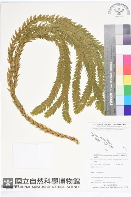 登錄號:BP02640藏品圖，第1張