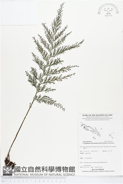 登錄號:BP01640藏品圖，第1張