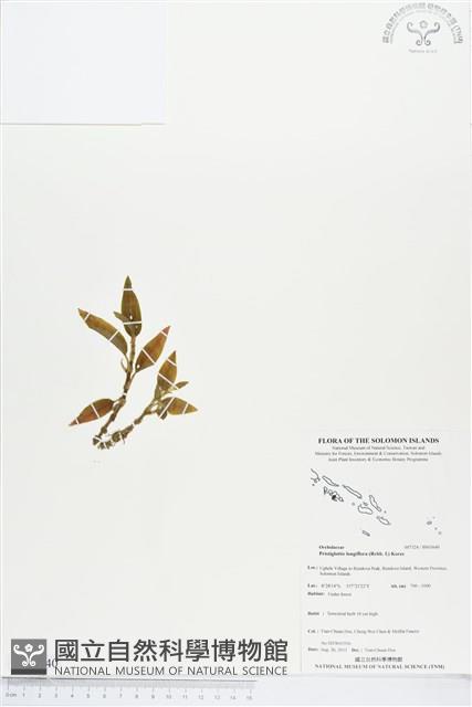 登錄號:BS03640藏品圖，第1張