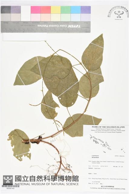 登錄號:BS06140藏品圖，第1張