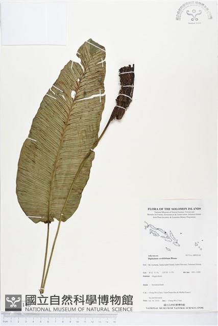 登錄號:BP02140藏品圖，第1張