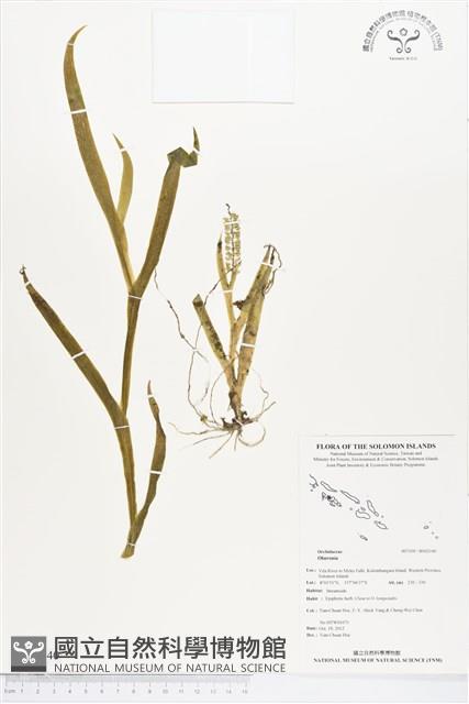 登錄號:BS02140藏品圖，第1張