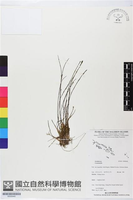 登錄號:BS06440藏品圖，第1張