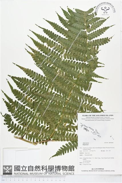 登錄號:BP00440藏品圖，第1張