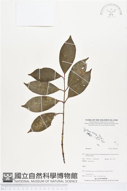 登錄號:BS03440藏品圖，第1張