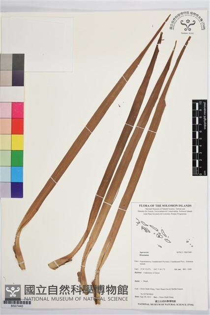 登錄號:BS07440藏品圖，第1張