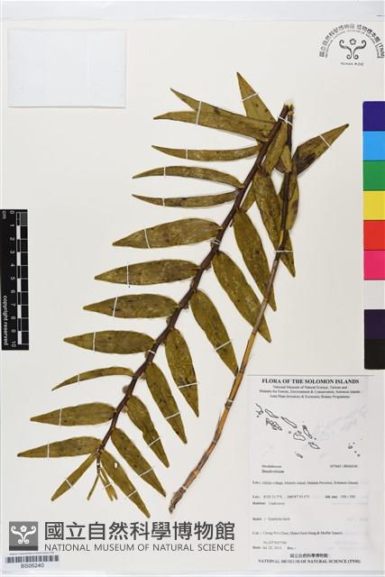 登錄號:BS06240藏品圖，第1張