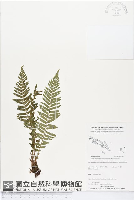 登錄號:BP02240藏品圖，第1張
