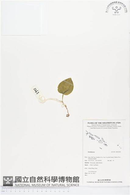 登錄號:BS02240藏品圖，第1張