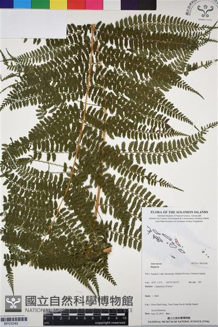 登錄號:BP03240藏品圖，第1張