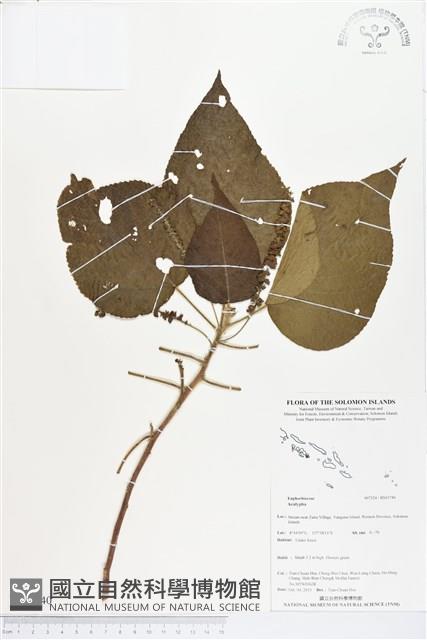 登錄號:BS03740藏品圖，第1張