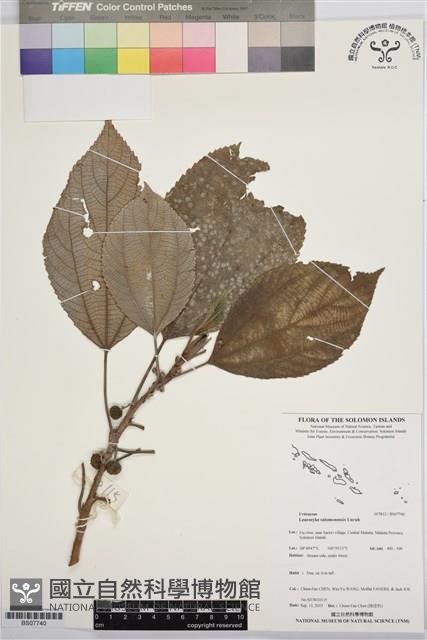 登錄號:BS07740藏品圖，第1張