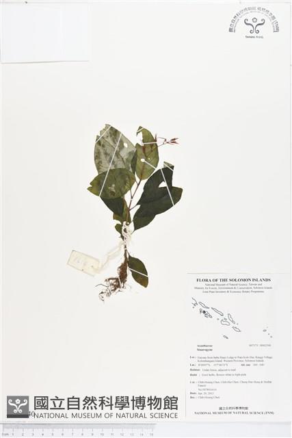 登錄號:BS02540藏品圖，第1張