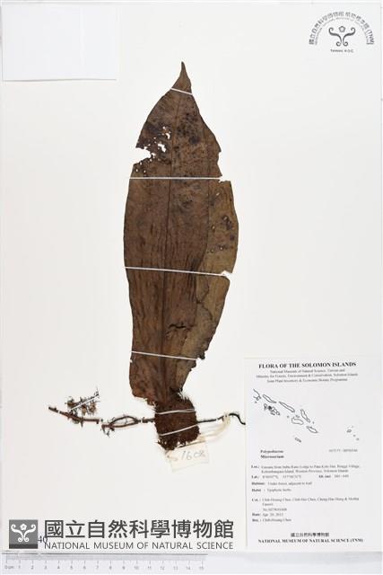 登錄號:BP00540藏品圖，第1張