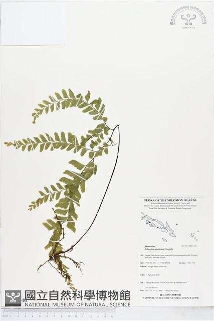 登錄號:BP01540藏品圖，第1張