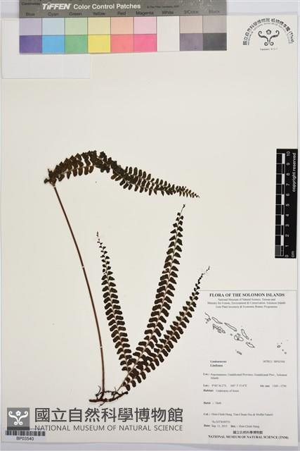 登錄號:BP03540藏品圖，第1張