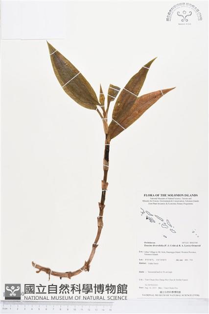 登錄號:BS03540藏品圖，第1張