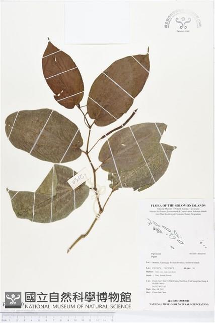 登錄號:BS02940藏品圖，第1張