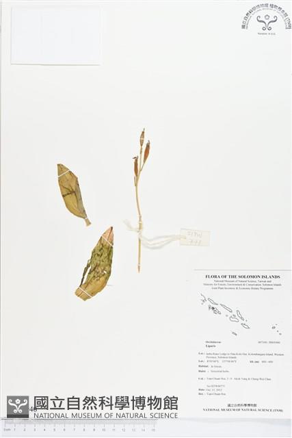 登錄號:BS01940藏品圖，第1張